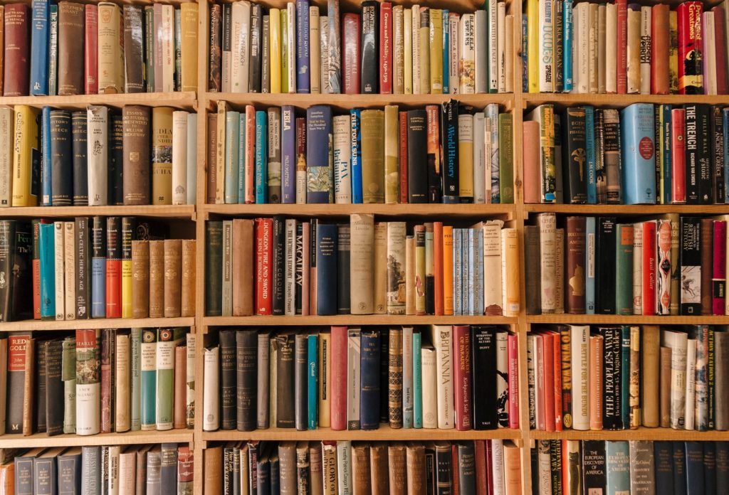 bookshelf full of old books